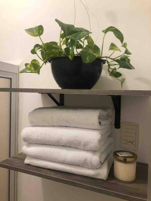 Comfortable And Private House 2 Bedrooms Wifi Parking Freeモンテレー エクステリア 写真